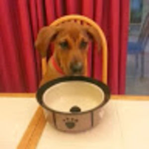 Meet your Posher, Jess